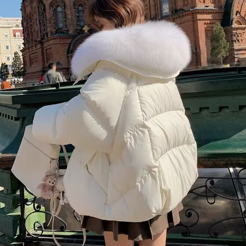 Women’s Down Cotton Padded Jacket – Short Fur Collar Winter Coat
